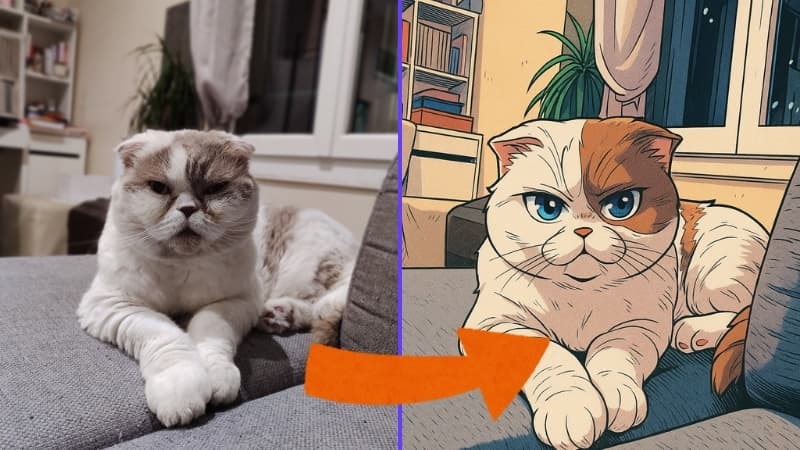 Avant / Après – Style Manga