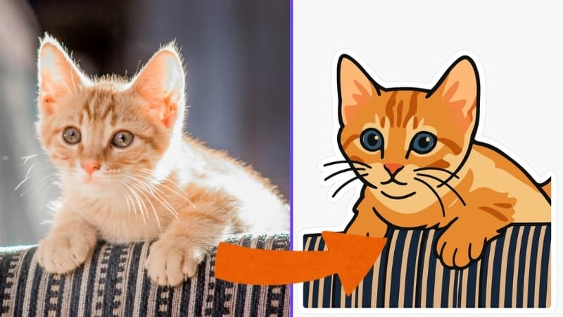 Avant / Après – Sticker